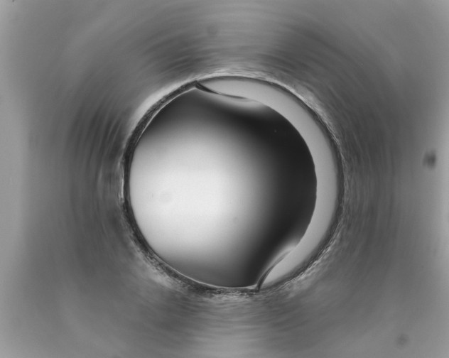 X0000089880838200707262208