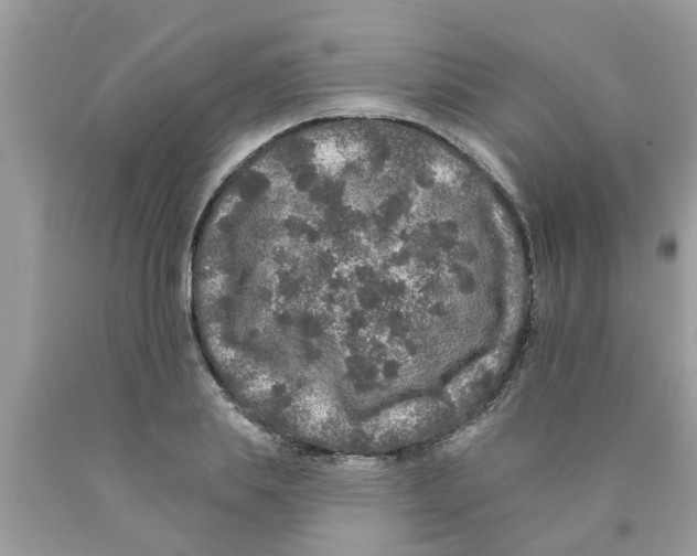 X0000089880839200707262208