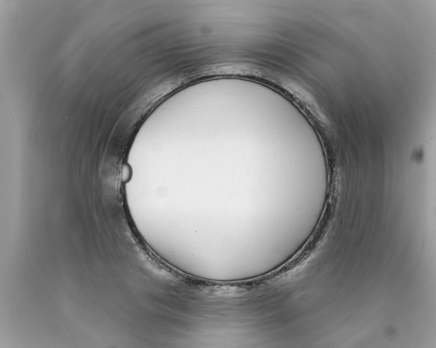 X0000089880841200707262208