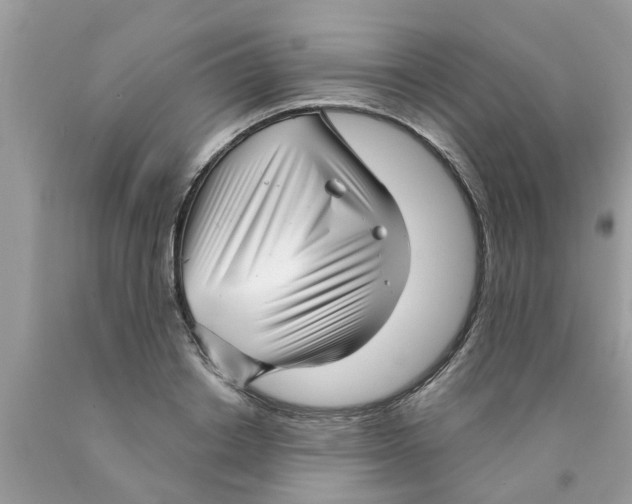 X0000089880842200707262208