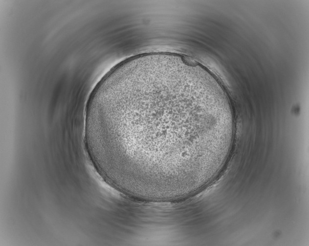 X0000089880844200707262208