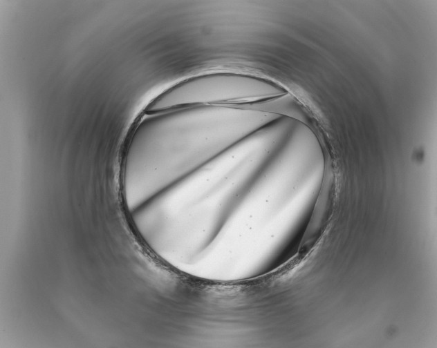 X0000089880846200707262208