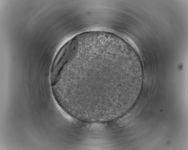 X0000089880847200707262208