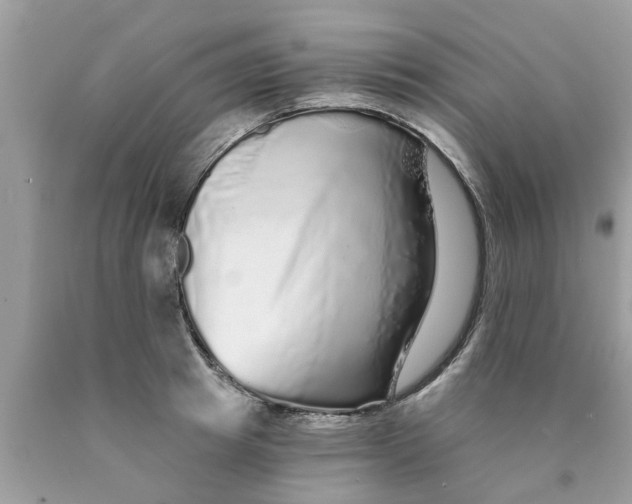 X0000089880849200707262208