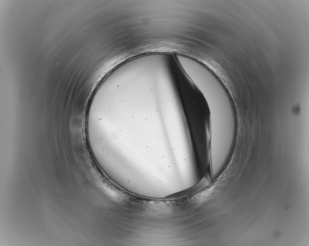 X0000089880850200707262208