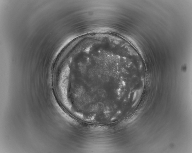 X0000089880851200707262208