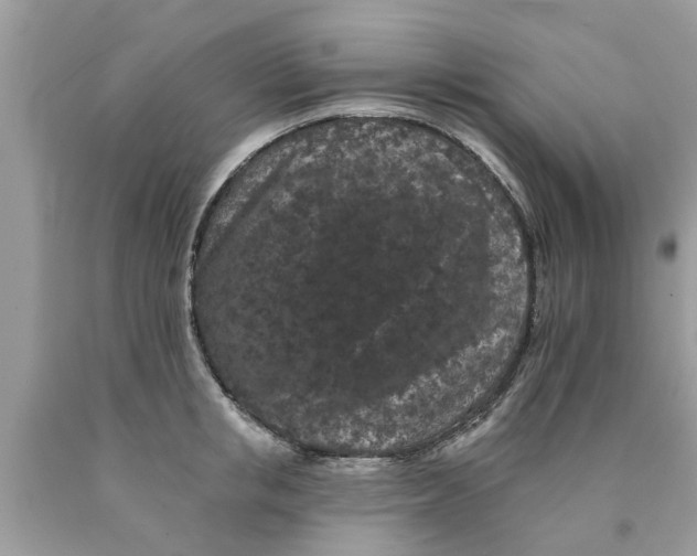 X0000089880853200707262208