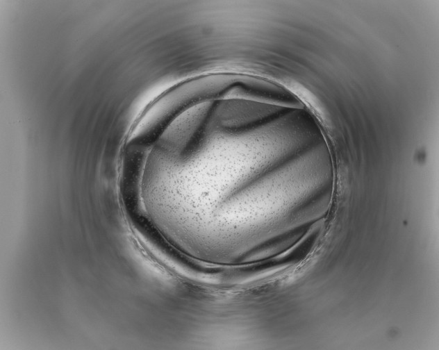 X0000089880854200707262208