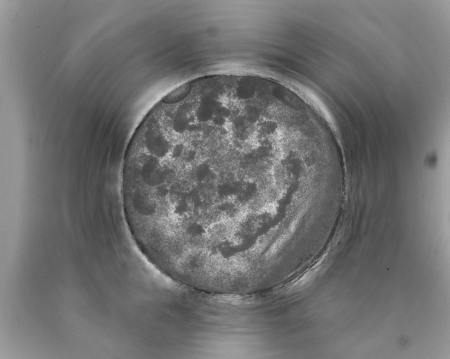 X0000089880855200707262208