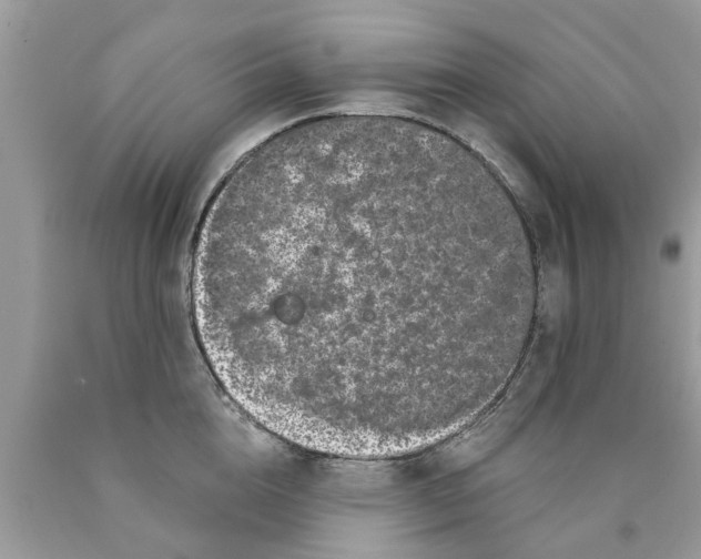 X0000089880856200707262208