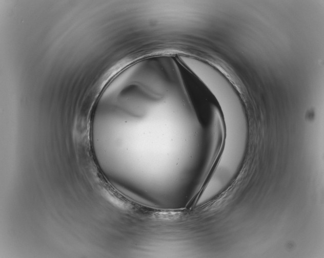 X0000089880858200707262208