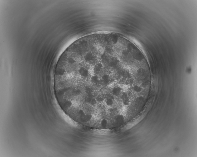 X0000089880859200707262208