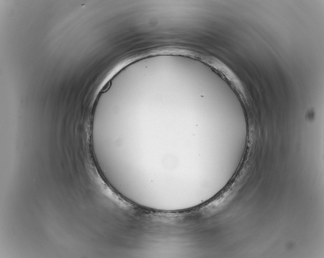 X0000089880860200707262208