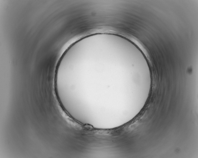 X0000089880861200707262208