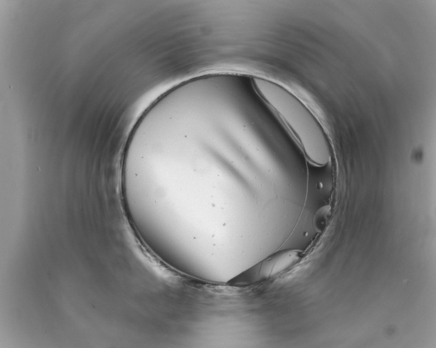 X0000089880862200707262208