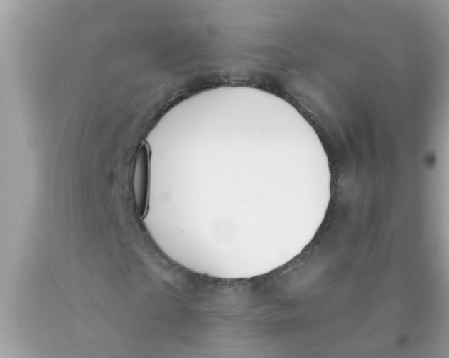 X0000089880865200707262207