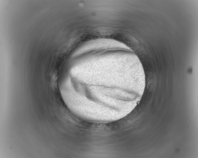 X0000089880866200707262207