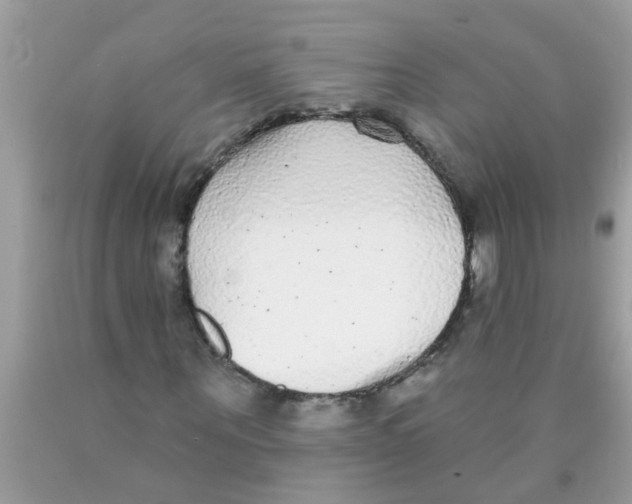 X0000089880867200707262207