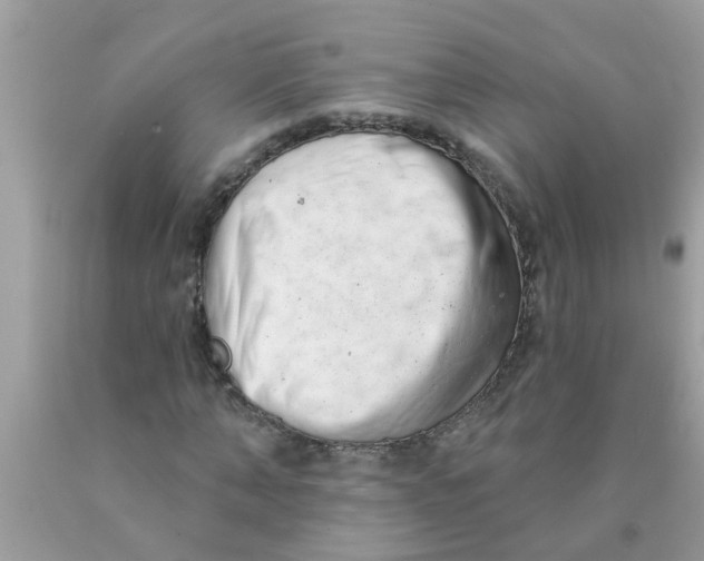 X0000089880870200707262207