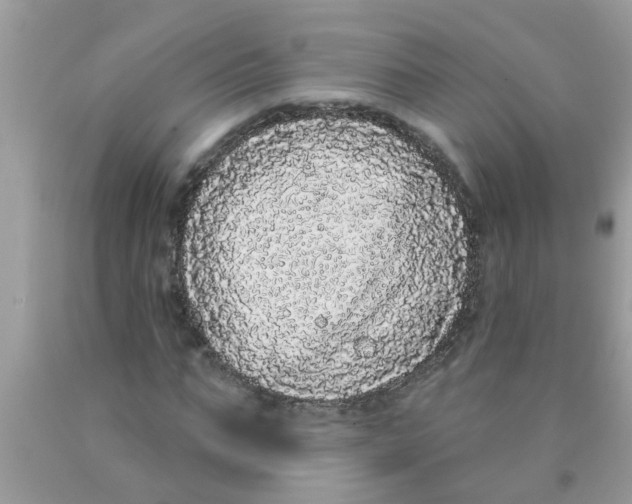 X0000089880871200707262207