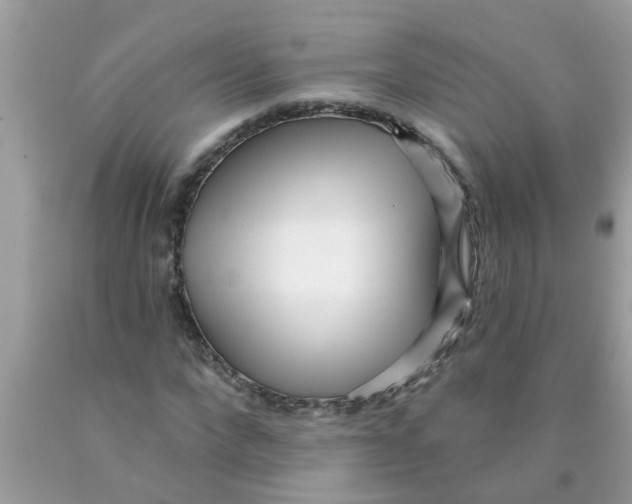 X0000089880872200707262207