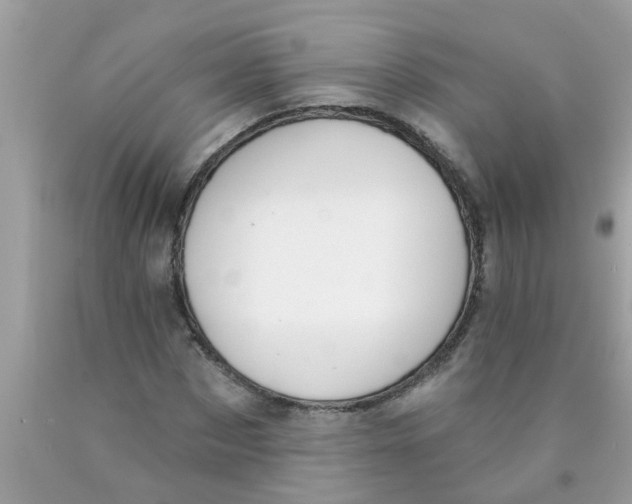 X0000089880873200707262207