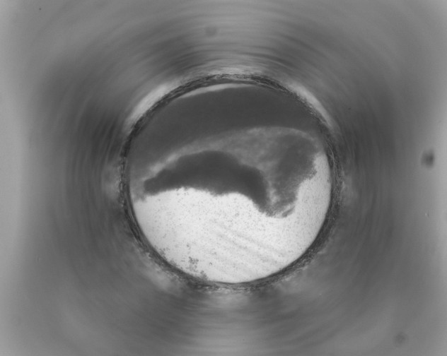 X0000089880874200707262207