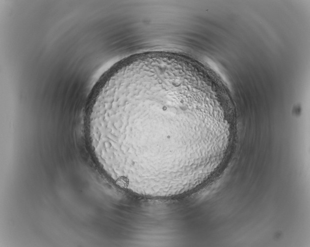 X0000089880875200707262207