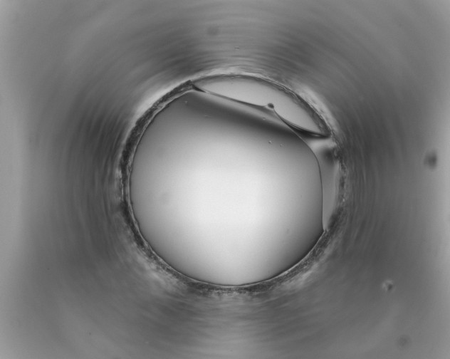 X0000089880876200707262207