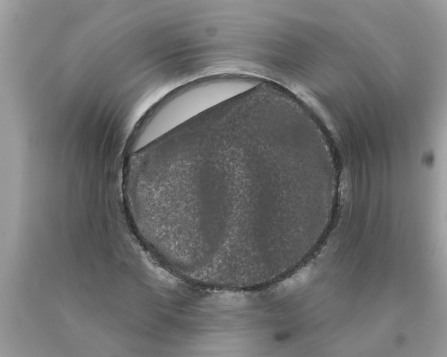 X0000089880877200707262207