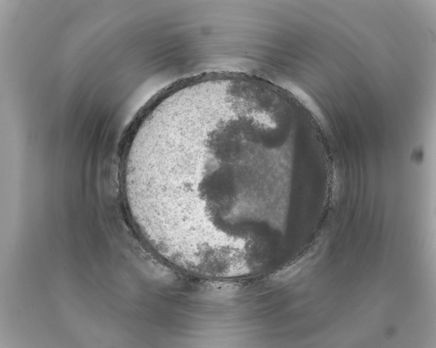 X0000089880878200707262207