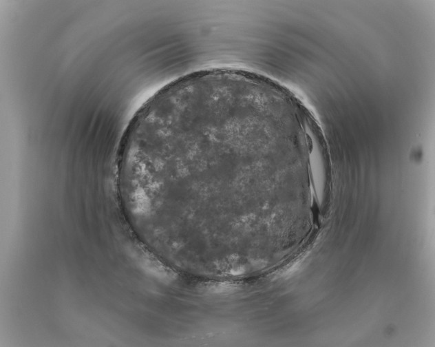 X0000089880879200707262207