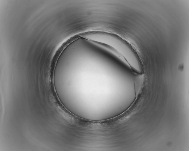 X0000089880880200707262207