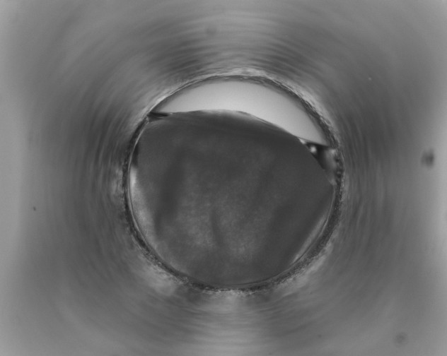 X0000089880881200707262207