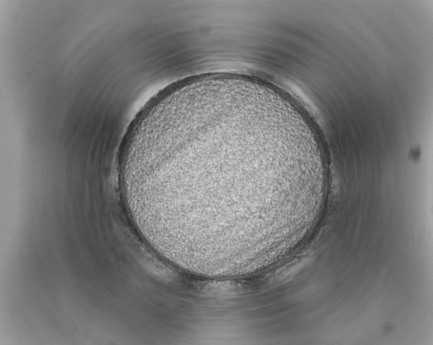 X0000089880883200707262207