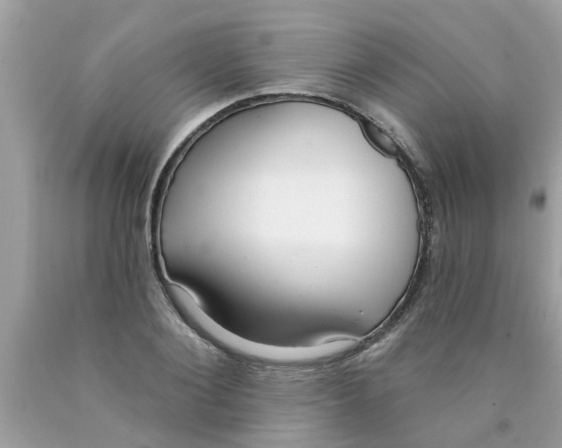 X0000089880884200707262207