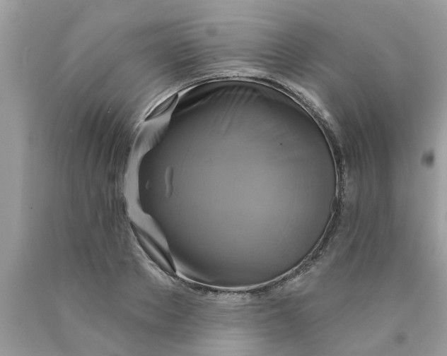 X0000089880889200707262207