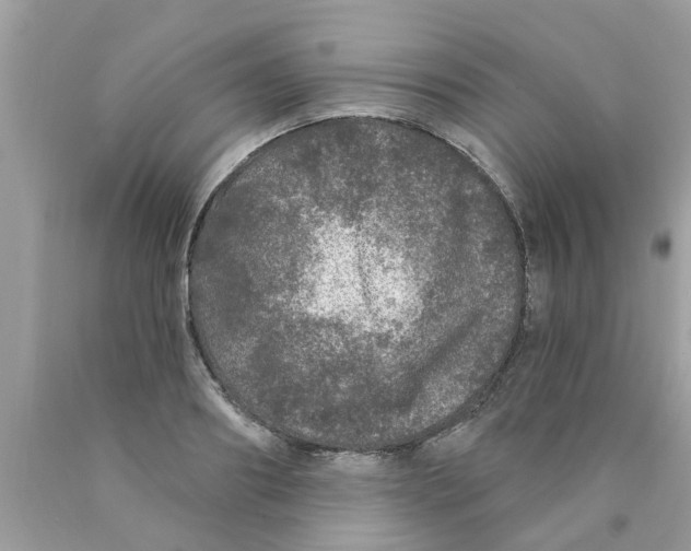 X0000089880890200707262207