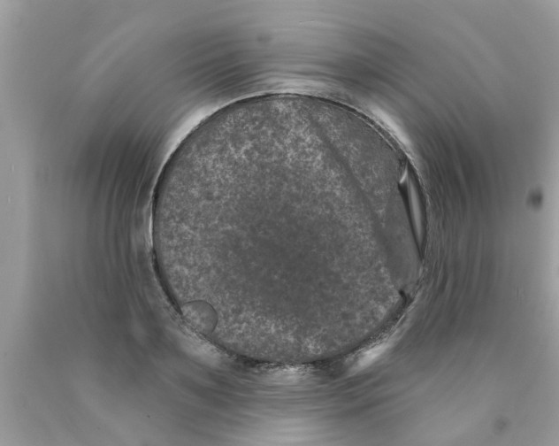 X0000089880891200707262207