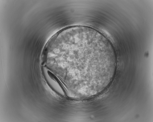 X0000089880892200707262207