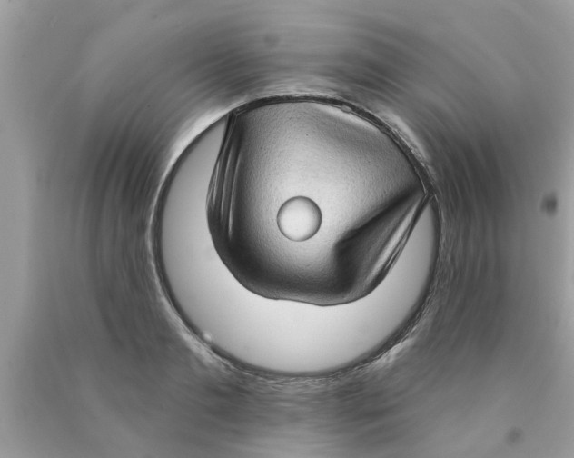 X0000089880893200707262207