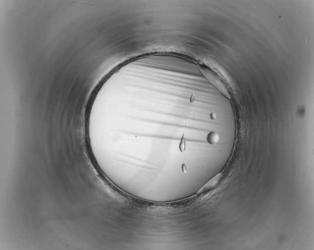 X0000089880894200707262207