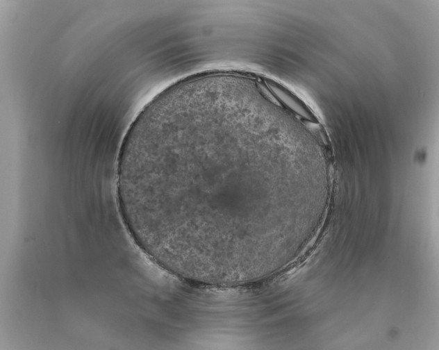 X0000089880895200707262207