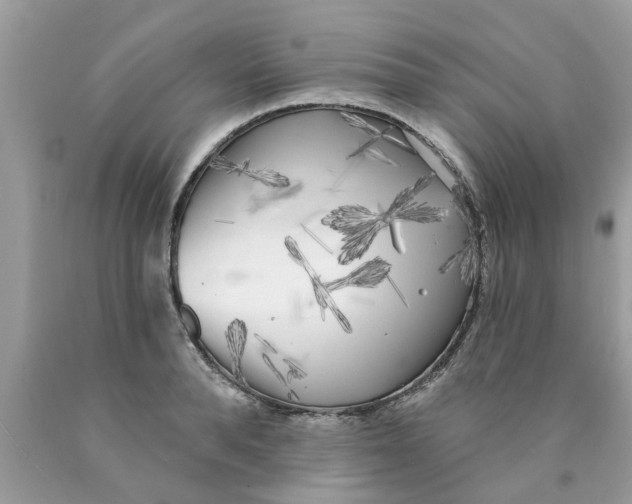 X0000089880896200707262207