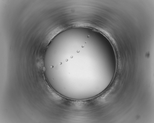 X0000089880897200707262207