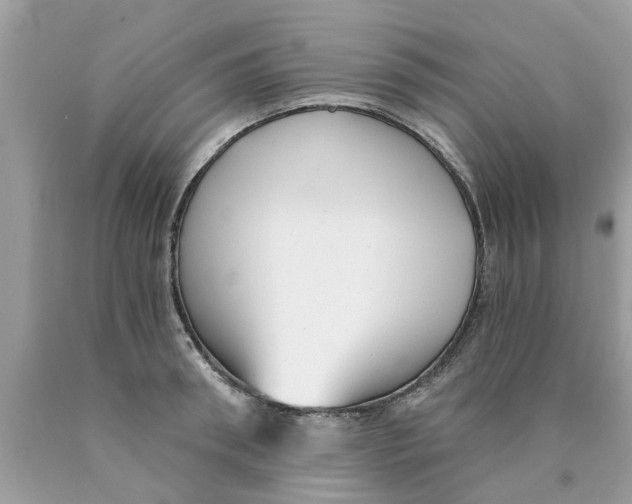 X0000089880898200707262207