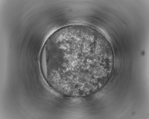 X0000089880899200707262207