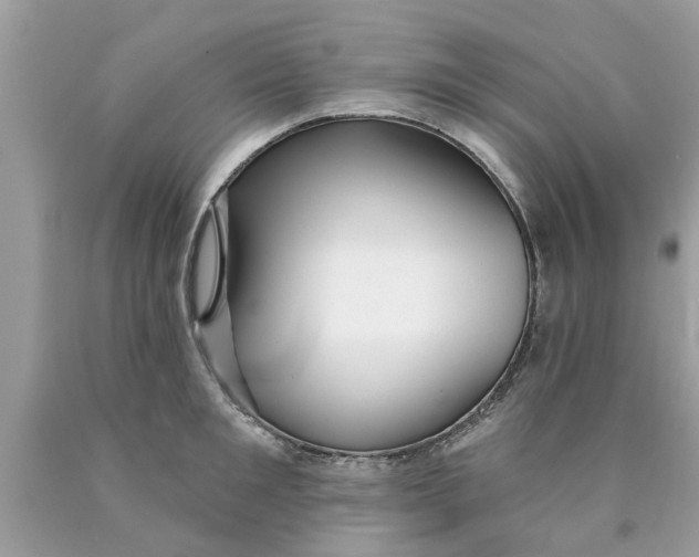 X0000089880901200707262207