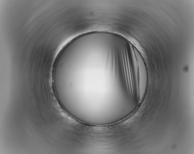 X0000089880904200707262207