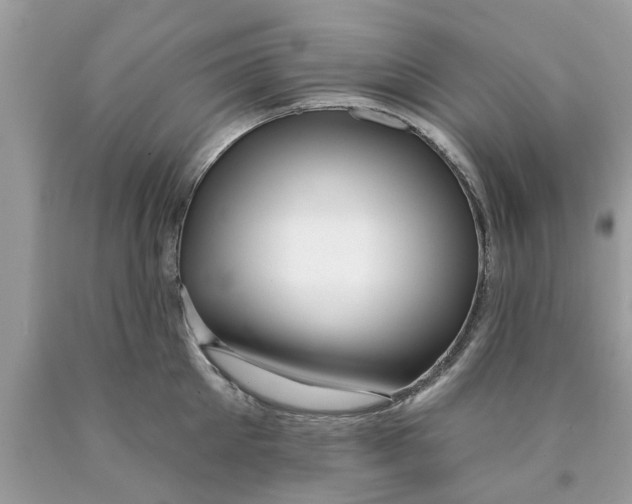 X0000089880905200707262207